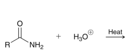 <p>amide + acid and heat</p>