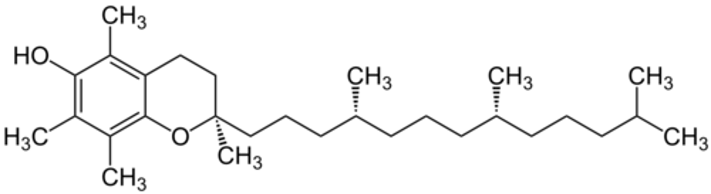 <p>members of the vitamin E family having the chemical structure of a complex ring structure with a long saturated side chain</p>