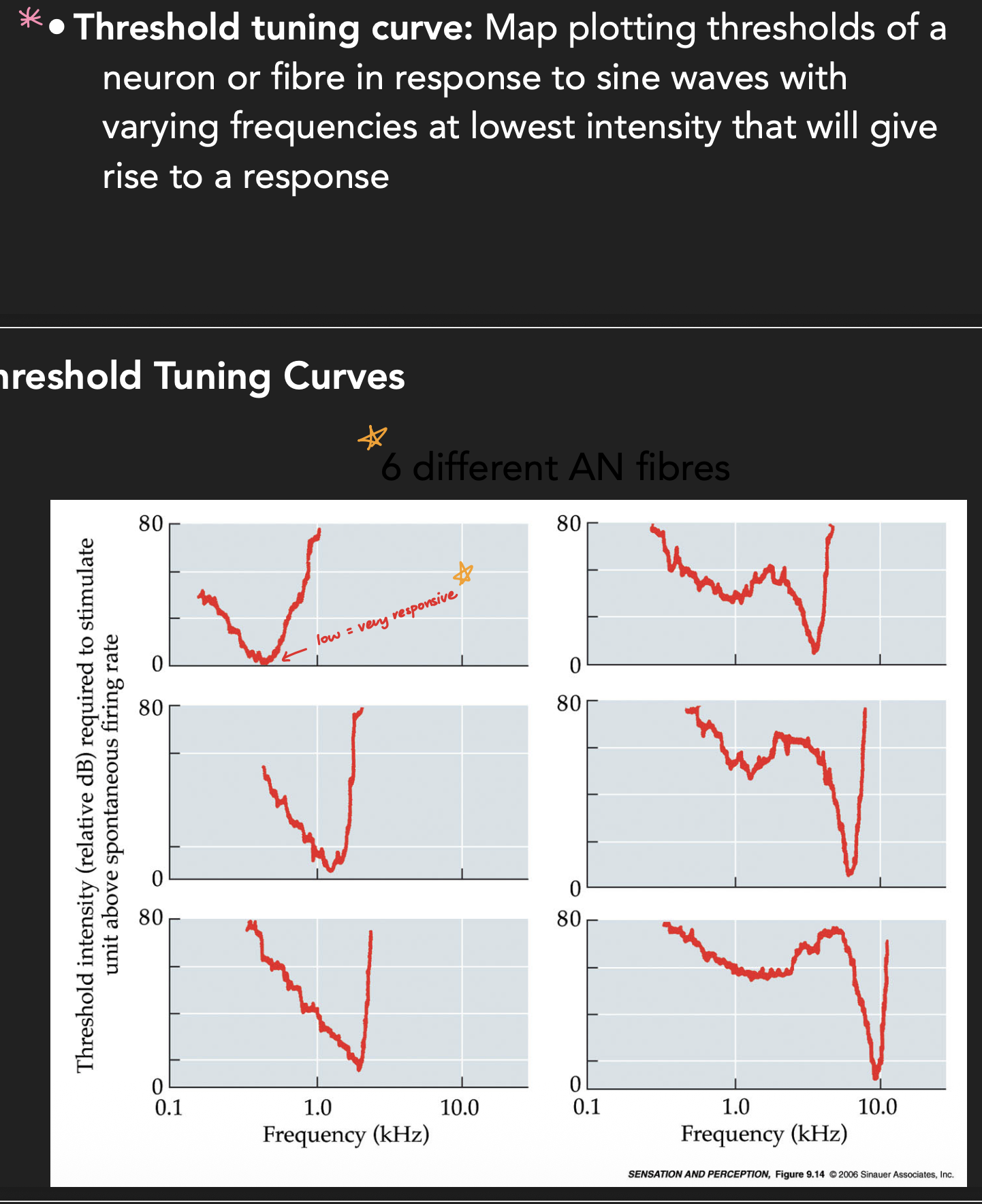 <p>*low = responds to that frequency the easiest (aka likes that frequency the most)</p>
