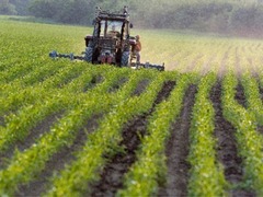 <p>Land that can be used to grow crops.</p>