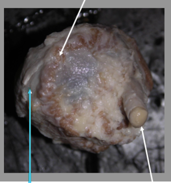 <p>What is the arrow pointing at?</p>