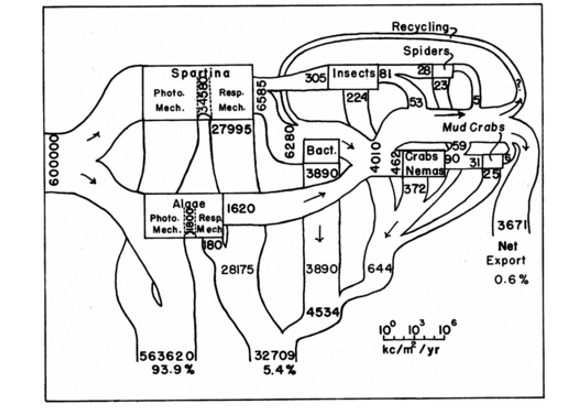 <p><span>Energy flow through a Georgia salt marsh. Numbers are kilocalories or percentages of flows. About 6% is captured by primary producers</span></p><ul><li><p>93% of energy is lost </p></li><li><p>not a diverse ecosystem shown</p></li></ul><p></p>