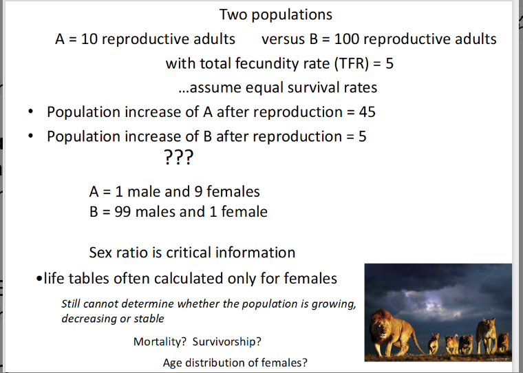 <p>what does this slide want to tell us?</p>
