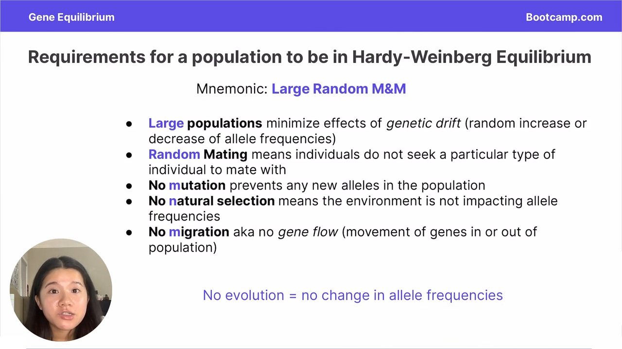<p>Prevents new alleles in the population </p>