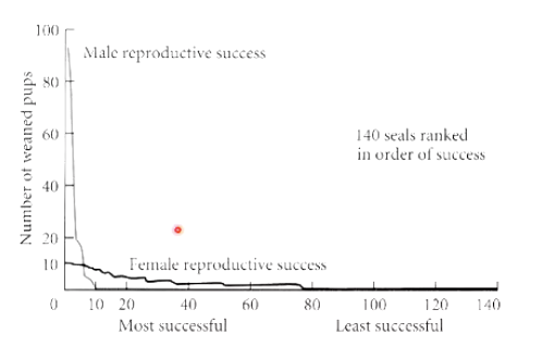 <p>Explain this graph</p>