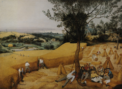 <p>Image</p>