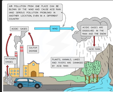 <p>[DRAW: factories releasing SO₂/NOₓ → clouds → acid rain damaging trees/buildings] $</p>