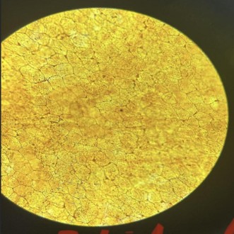 <p>What is the name, location and function of this</p>