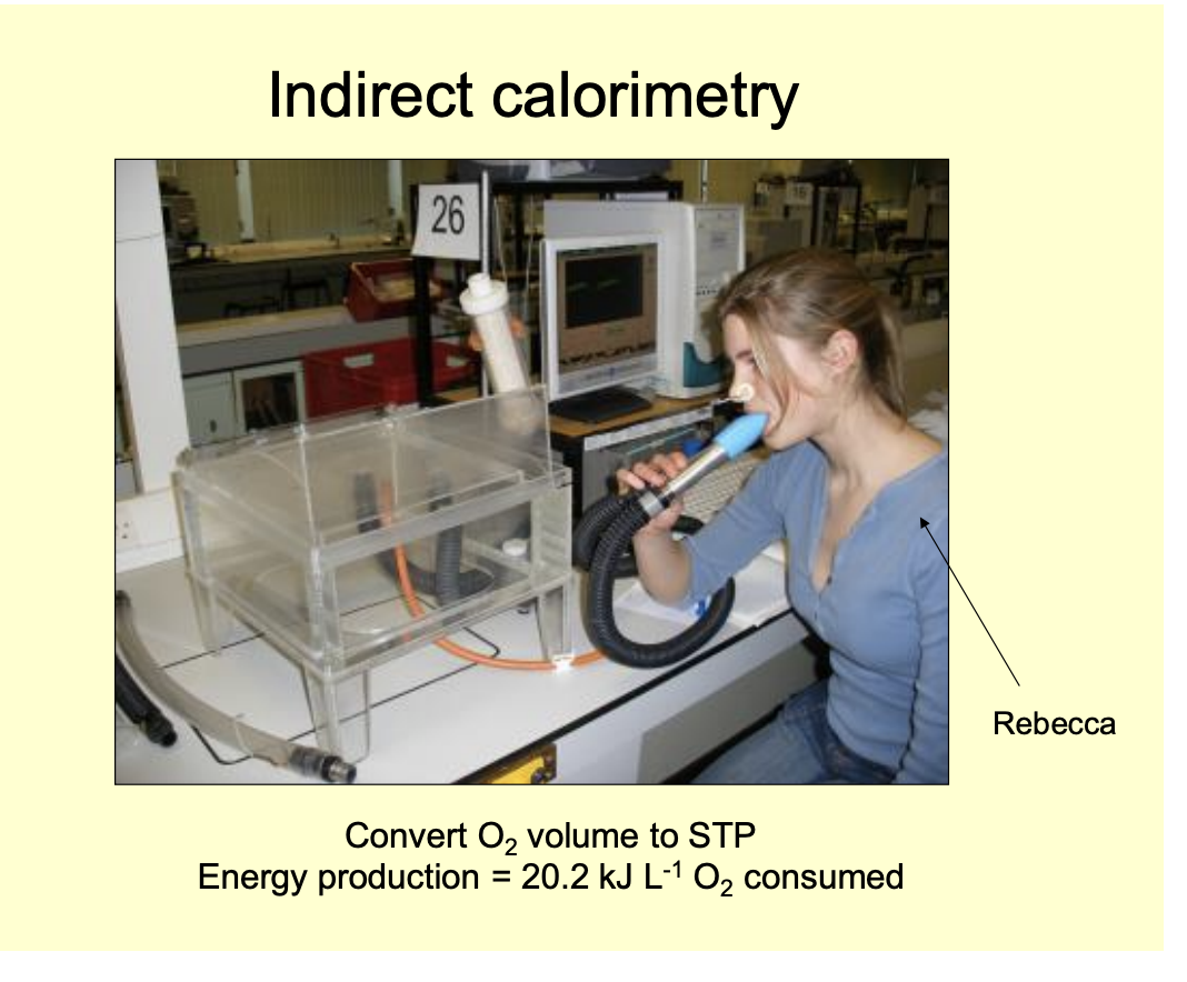 <ul><li><p>when rate of fat synthesis from glucose is <strong>unsually high</strong></p></li></ul><p></p>