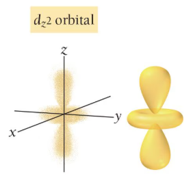 <p>two lobes oriented along the z-axis, donut-shaped ring along the xy plane</p>