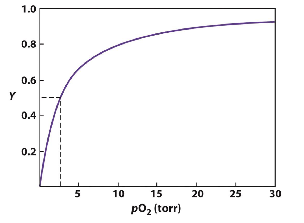 <p>hyperbola </p>