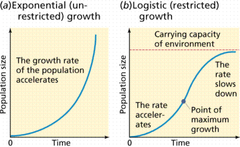 <p>Unhindered population growth due to the abundance of resources</p>