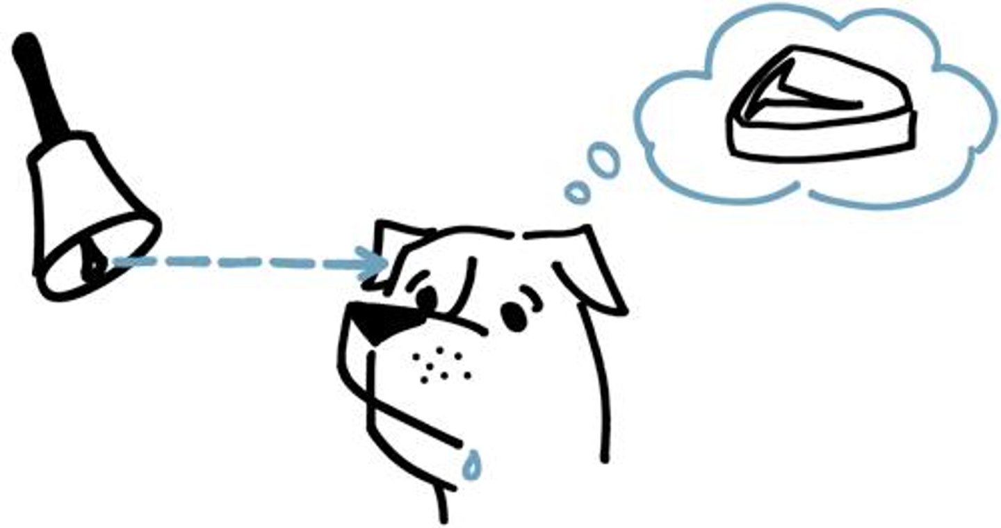 <p>điều kiện; tình trạng sức khỏe</p>