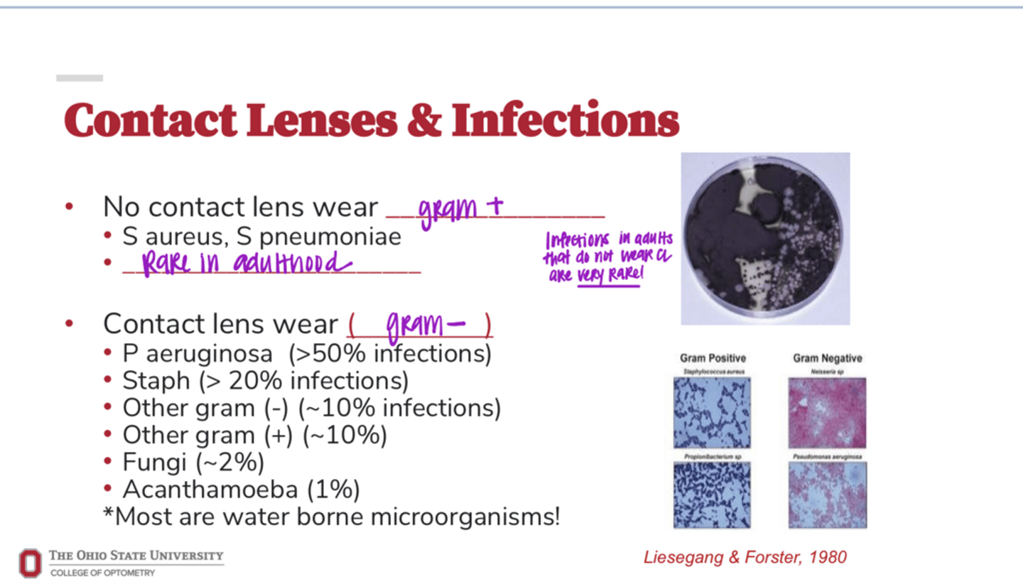 <p>Most microorganisms that infect a patient that wears CLs are _____ borne</p>