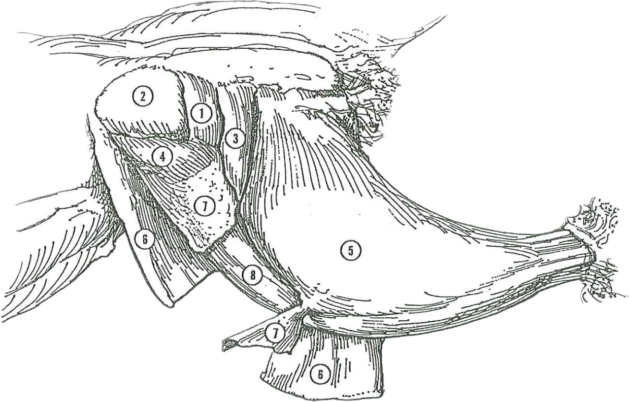 <p>Name 6 </p>