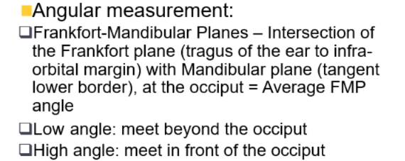 <ul><li><p>Frankfurt plane intersecting with mandibular plane - reference at the occiput - average both lines meet at the occiput in averagely proportioned individual </p></li></ul><p></p>