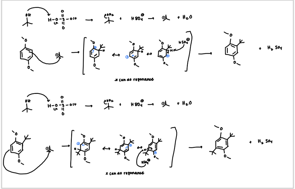 <p>for this experiment, OH will be protonated by sulfuric acid, and water will leave as a LG</p><p>nucleophilic attack of the pi electrons on the electrophilic carbocation</p><p>remember resonance of the carbocation on the ring</p><p>then deprotonated sulfuric acid will eliminate the alpha hydrogen to restore aromatacity</p><p>*the whole process is repeated again for dialkylation</p>