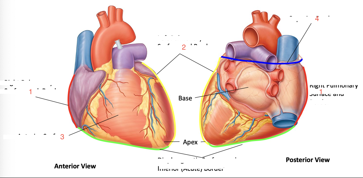 <p>1</p>