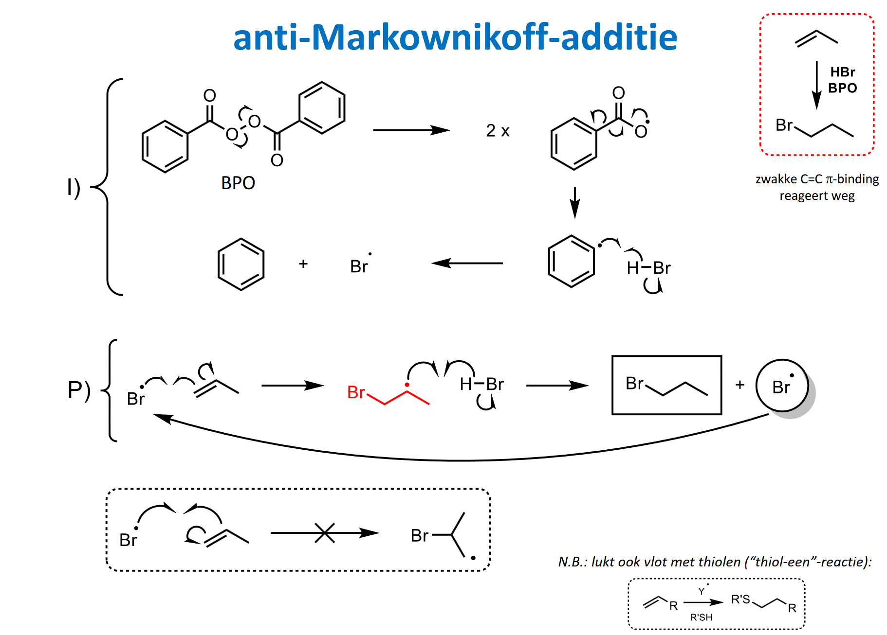 <p>p19.5</p><ul><li><p>HCl, HBr (in praktijk enkel met HBr)</p></li><li><p>zelfde reagentia als elektrofiele additie met HX, alleen nu ook met radicaalinitiator</p></li><li><p>vishaakpijlen!! (radicalaire reactie)</p></li></ul><p></p><p>Initiatie: </p><ul><li><p>via BPO</p></li><li><p>vorming Br radicaal</p></li></ul><p>Propagatie: </p><ul><li><p>Br radicaal valt zwakke pi-binding aan </p></li><li><p>secundair radicaal (want stabieler dan prim radicaal)</p></li></ul><p>Terminatie: </p><ul><li><p>doordat radicalen elkaar tegenkomen en wegreageren</p></li></ul><p></p>