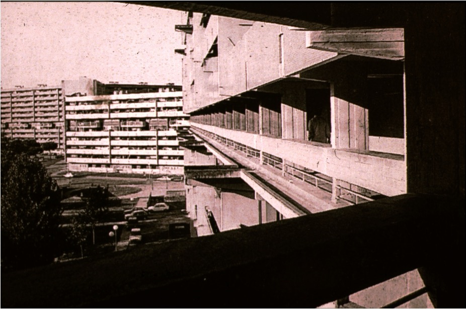 term image