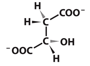 <p>What is this structure?</p>