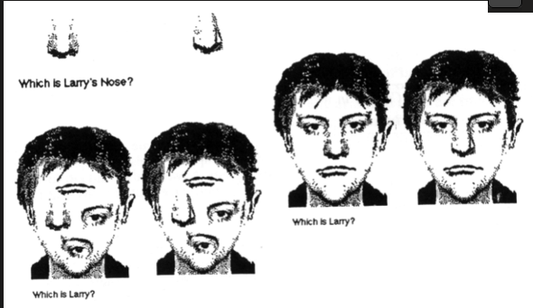 <p>faces are processes holistically because we learn them holistically</p><p>people who learned larry as a scrambled face were more likely to recognise his nose alone</p><p></p>