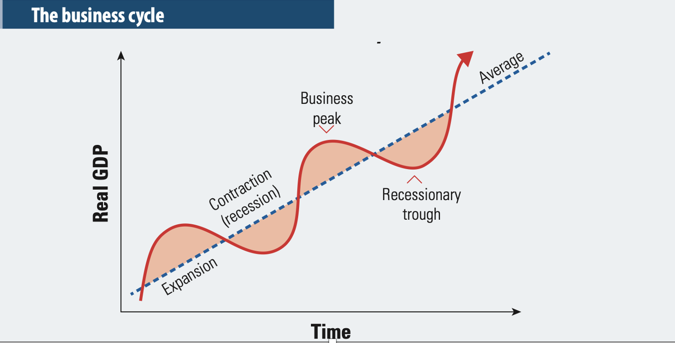 <ul><li><p>is the regular fluctuations in economic activity over time</p></li><li><p>It is categorised with distinct phases and is measured in real GDP </p></li><li><p>depicts the rise and fall in output (production of goods and services), over time</p></li></ul><p></p>