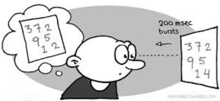 <p>Iconic memory</p>