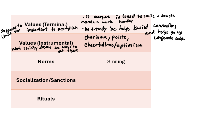 <p>Values, Norms, Socialization/Sanctions, and Rituals Pictures</p>