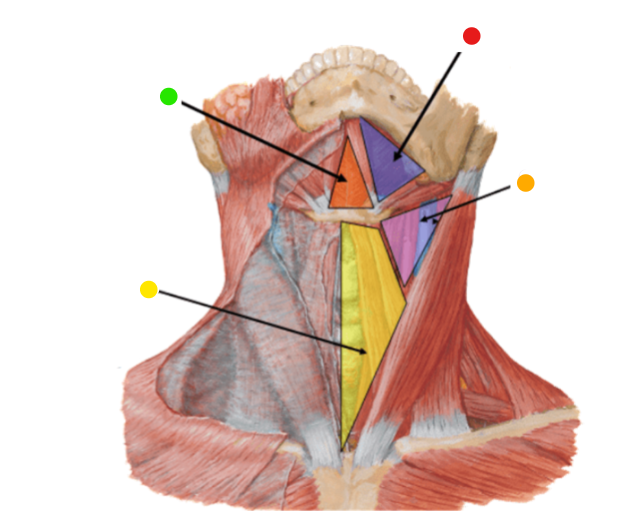 <p>orange &nbsp;dot</p>