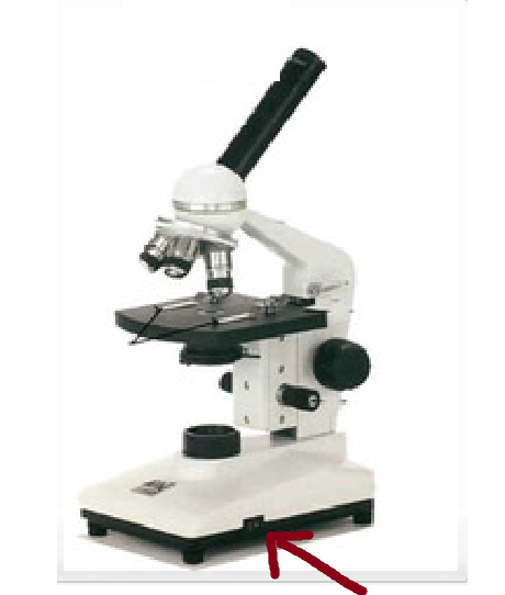 <p>What part of the Microscope is this?</p>
