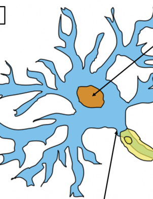 <p>What is this? </p>