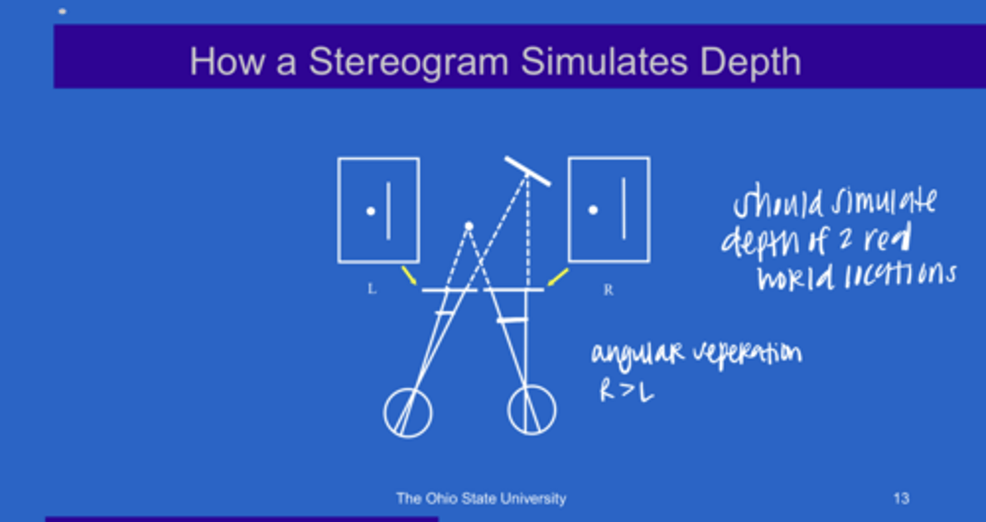 <p>How a Stereogram Stimulates Depth (Pic)</p>