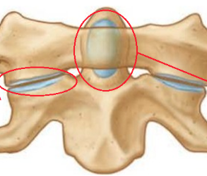 <p>horizontal circle</p>