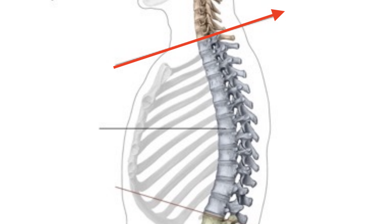 <p>What is this structure?</p>