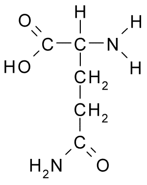 <p>polar w/ amide group - not titratable</p>