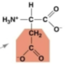 <p>asp. electric-acidic. forms a peptide bond in a protein chain</p>