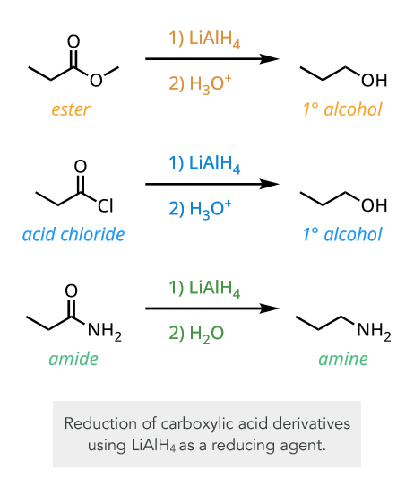 <p>amines.</p>