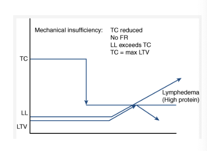 <p>what type of insufficiency is demonstrated by the image? </p>