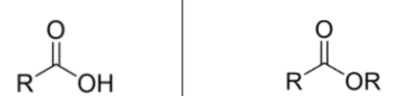 <p>Name the reactants</p>