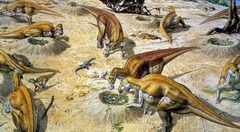 <p>Coming back as a herd to the same area each year to nest their young</p>