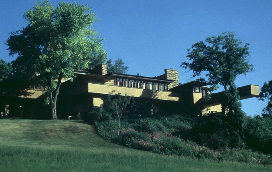 term image