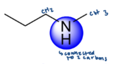 <p>the carbon attached to the amine is attached to two other carbons </p>