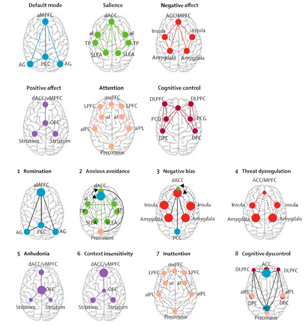 <p>Maladaptieve brain state, psychiatrische stoornissen</p>
