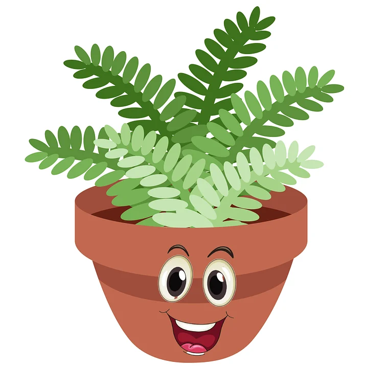<p><strong>Now moving onto Vascular plants </strong></p>