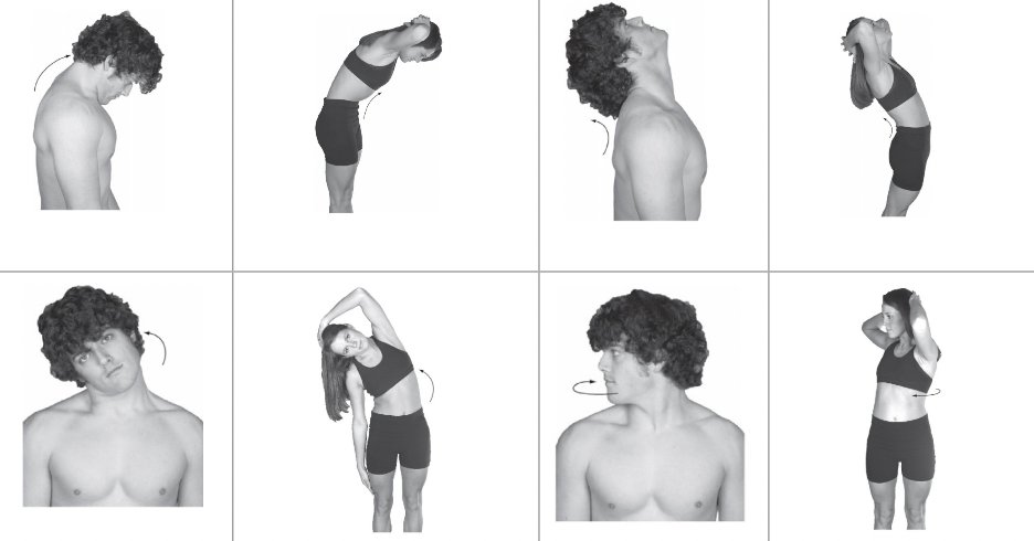 <p>Movements of the neck and trunk</p>