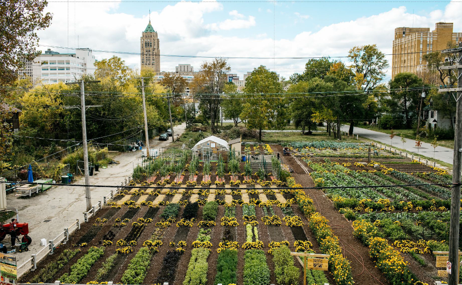 <p>Re-Designing the City → uses DIY social activism, participation, and bottom-up initiatives to transform vacant areas. Examples include urban agriculture, the Heidelberg Project and community-based projects, later combined with formal city planning</p>