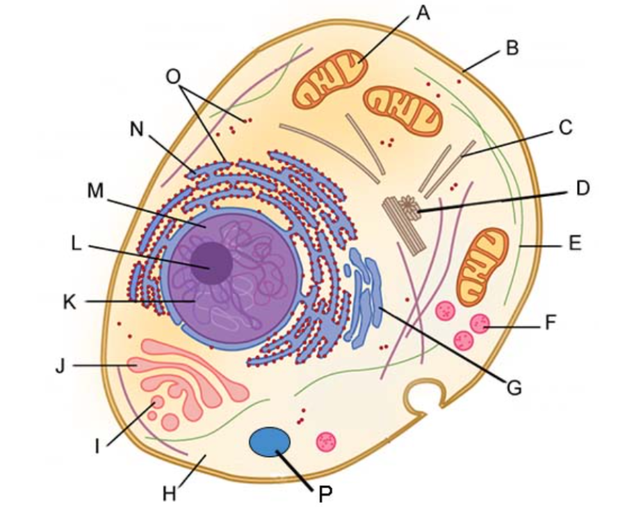 <p>What is (N/G) </p>