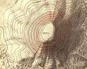 <p>maps that show specific changes in elevation</p>