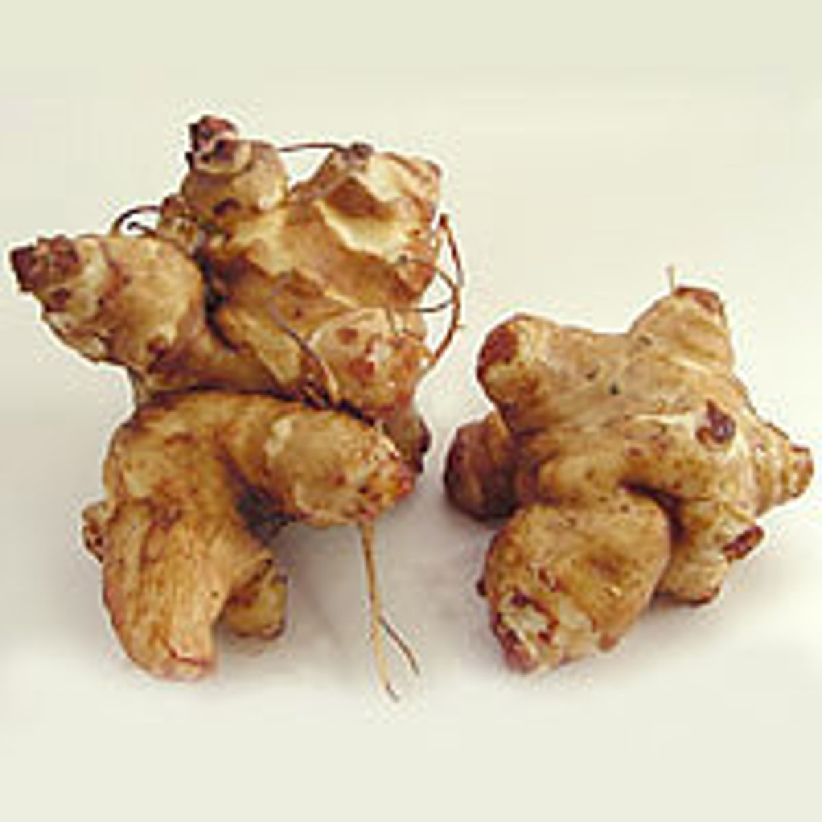 <p>un topinambour</p>